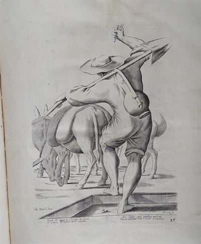 Mitelli Giuseppe Maria, Arti e Mestieri per la via, Guardiano di asini, 1660